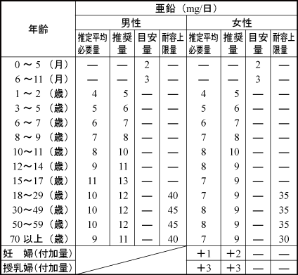 亜鉛・一日の摂取量