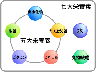 七大栄養素