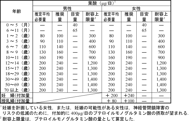 葉酸・一日の摂取量