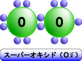 スーパーオキシド