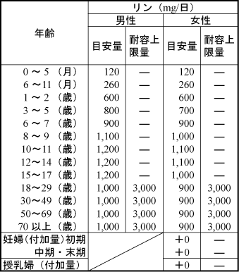 リン・一日の摂取量