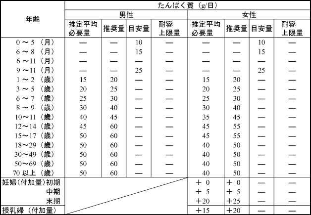 たんぱく質・一日の摂取量