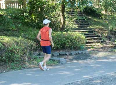 ウォーキングは内臓脂肪を減らす有酸素運動